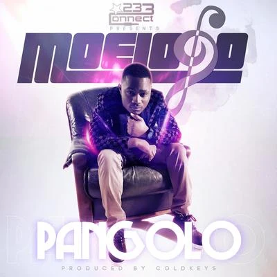 Pangolo 專輯 MoeLogo