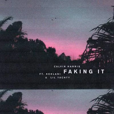 Faking It (Radio Edit) 專輯 Shake Duke/Calvin Harris/D.R.