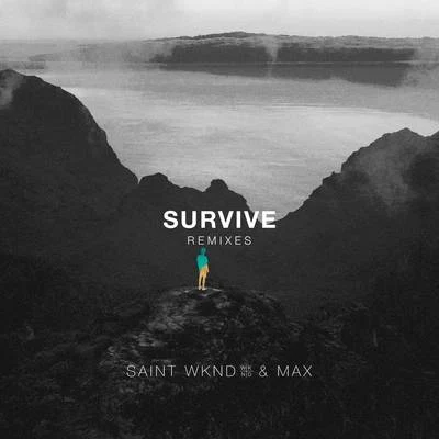 SAINT WKNDPoint PointDenai Moore Survive (Remixes)