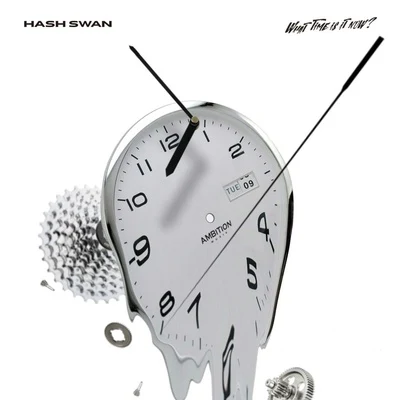 What Time Is It Now? 专辑 Hash Swan