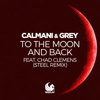 Calmani & Grey To the Moon and Back (Steel Remix)