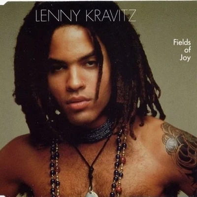 Fields Of Joy 專輯 Lenny Kravitz/Lionel Richie/Daniel Bedingfield