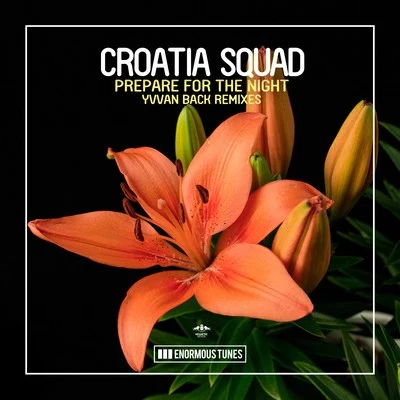 Prepare for the Night (Yvvan Back Remixes) 專輯 Croatia Squad/Sons Of Maria/Jerome Robins/EDX/Alex Kenji