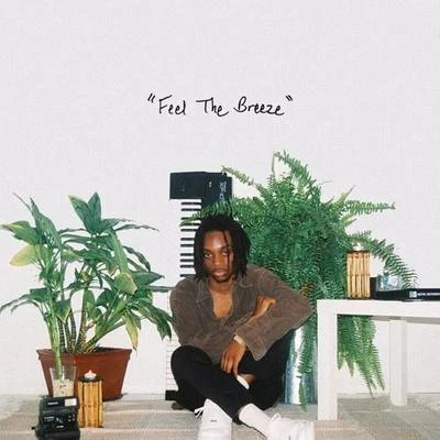 Feel The Breeze 專輯 Flwr Chyld