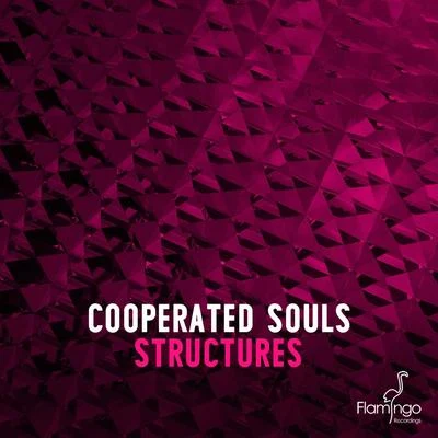 Structures (Extended Mix) 專輯 Cooperated Souls