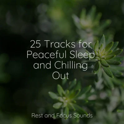 25 Tracks for Peaceful Sleep and Chilling Out 专辑 Tinnitus/Baby Sleep White Noise/Pro Sound Effects Library