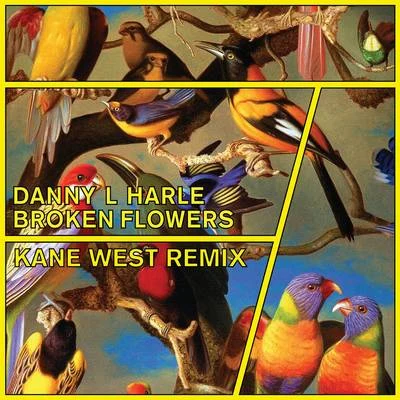 Broken Flowers (Kane West Remix) 專輯 DJ Mayhem/Danny L Harle