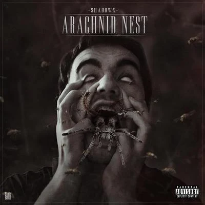 Arachnid Nest 專輯 A.N.O./Shadowx