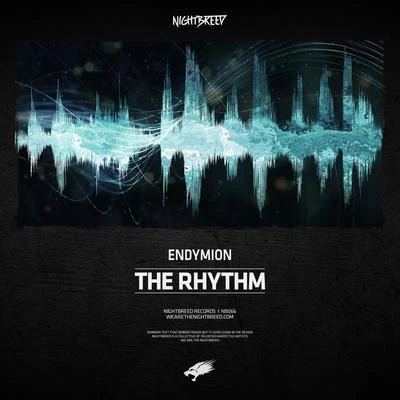 The Rhythm 專輯 Endymion/The Viper