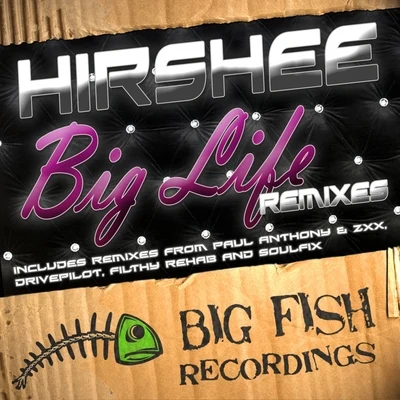 Hirshee Big Life Remixes