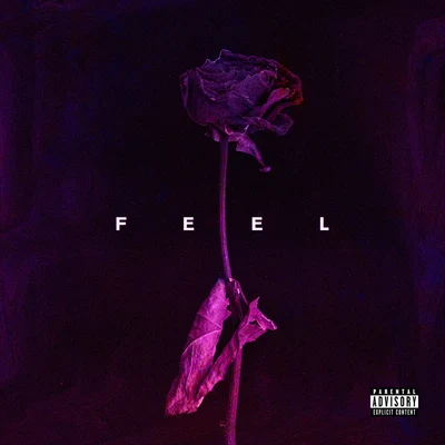 Feel 专辑 Phora