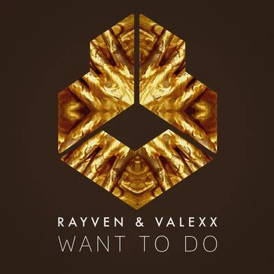 Want To Do 專輯 Rayven & Valexx