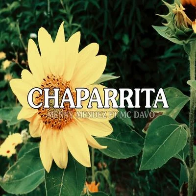 Chaparrita (feat. MC Davo) 專輯 Meny Mendez