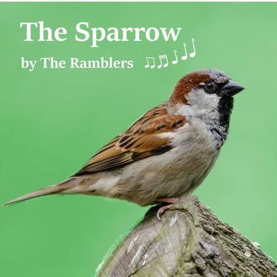 The Sparrow 專輯 The Ramblers