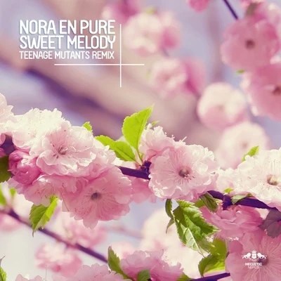 Sweet Melody 專輯 Nora En Pure