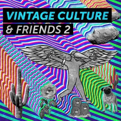 Vintage Culture & Friends 2 专辑 Vintage Culture