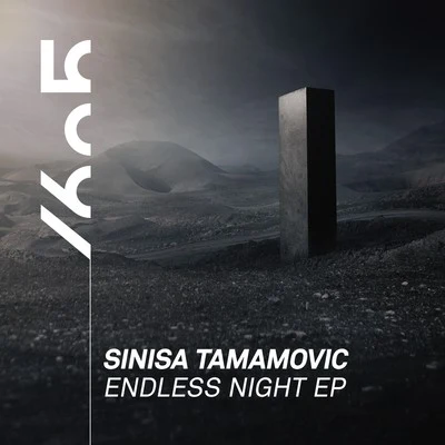 Sinisa Tamamovic Endless Night EP