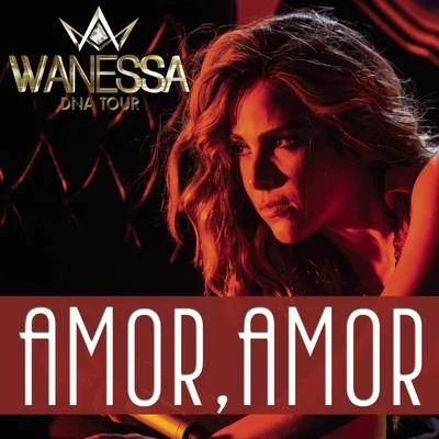 Amor, Amor 專輯 Wanessa/ANALAGA