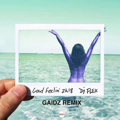 Good Feelin 2k18 (Gaidz Remix) 專輯 Big Poppa/Da Hood Mayor/Phunkdawg/DJ Flex