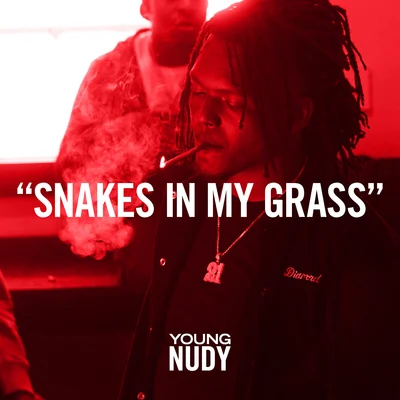 Snakes In My Grass 专辑 Baby Plug/Young Nudy/YP/RX Hect/Lil Gotit