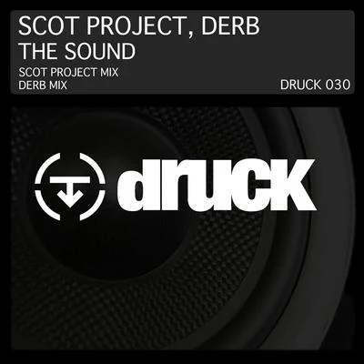 The Sound 专辑 Scot Project