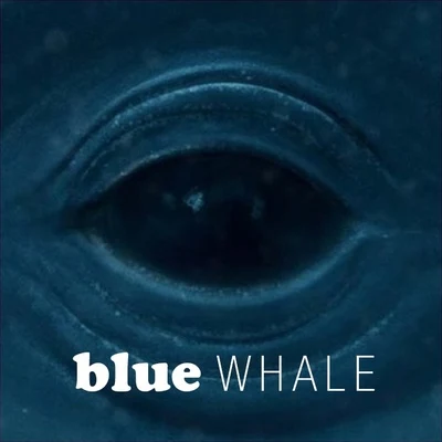 Blue Whale 專輯 Frank Ocean