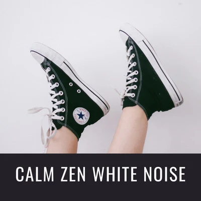 Calm Zen White Noise 專輯 Space of Waves/Ocean FX/Fabricants