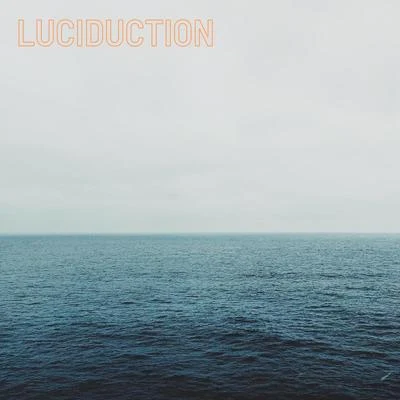 Luciduction 專輯 Shooma Banerjee/Arif Sheikh/Vijaya Shankar/Milan Jain/Namita Laad