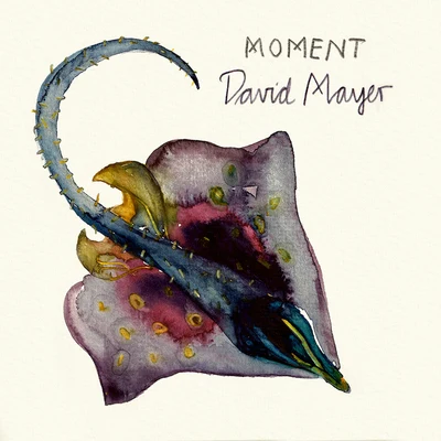 Moment 專輯 David Mayer