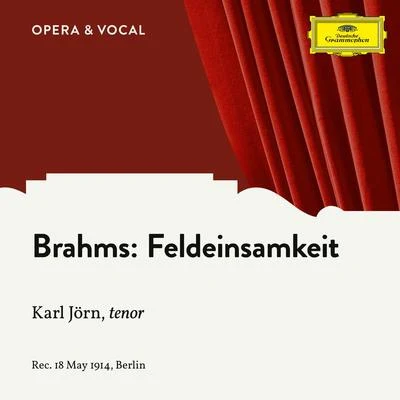 Brahms: Feldeinsamkeit, Op. 86, No. 2 专辑 Ema Destinnová/August Pilz/Julius Lieban/Minnie Nast/Desider Zádor