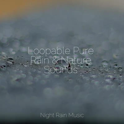 Loopable Pure Rain & Nature Sounds 專輯 Ambient Music Therapy