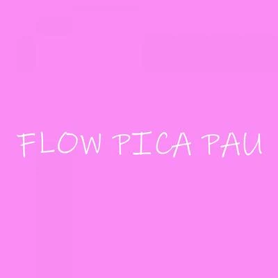 Flow PicaPau 专辑 Junin