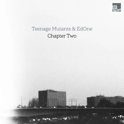 Teenage Mutants Chapter Two