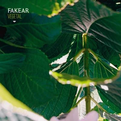 Vegetal: Offshoots EP 專輯 Fakear