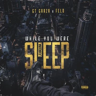 While You Were Sleep 專輯 GT Garza