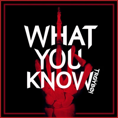 What You Know 專輯 TroyBoi/Destructo