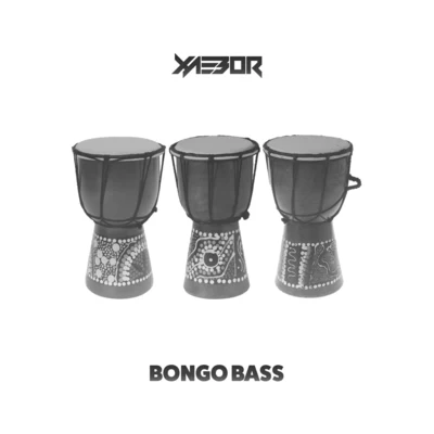 Bongo Bass 專輯 XaeboR