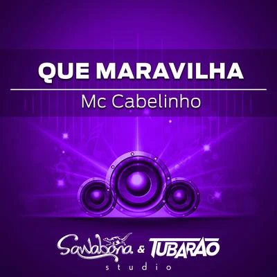 Que Maravilha 專輯 Papatinho/MC Cabelinho/Xamã