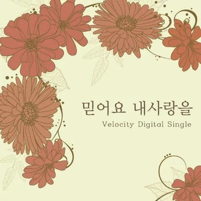 믿어요 내 사랑을 专辑 Velocity