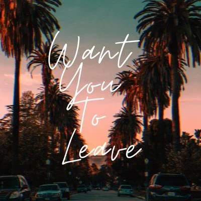 Want You To Leave 專輯 TH3 DARP/Tule/FYSL