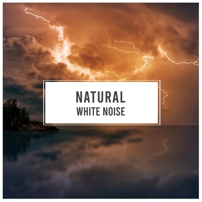 #Natural White Noise 專輯 Rainforest Ambience