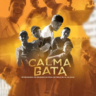 Calma Gata 專輯 Neew/Mc Kevin/Toni Garrido/Marcos Baroni/DJ Kalfani