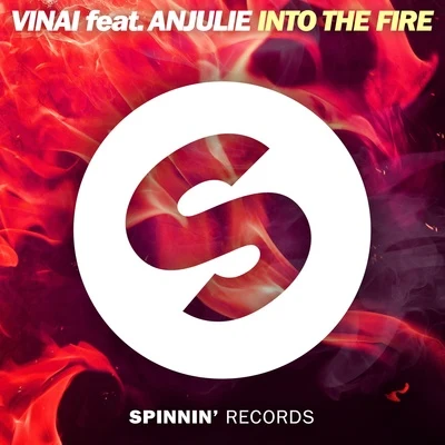 VINAIDimitri Vegas & Like Mike Into The Fire