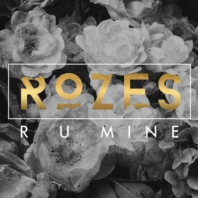 ROZESYves VSam Feldt R U Mine