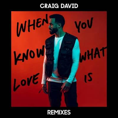 When You Know What Love Is (Remixes) 專輯 Craig David