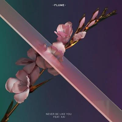 Never Be Like You 專輯 Flume