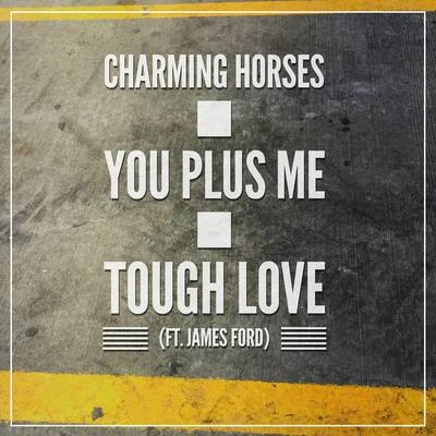 You Plus Me 專輯 Charming Horses/LIZOT