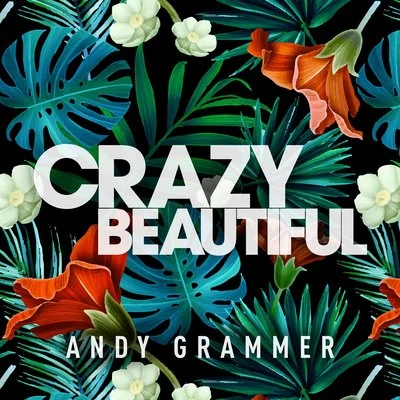 Crazy Beautiful EP (Single) 專輯 Andy Grammer