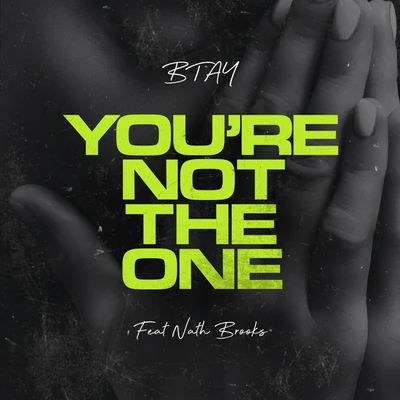 Youre Not the One 專輯 Josh Hunter/BTAY