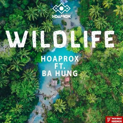 Wildlife 专辑 Hoaprox